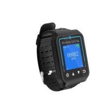 Приёмник (часы) W-RCV24